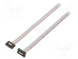 Ribbon cable with IDC connectors; Tape ph: 0.64mm; 1219.2mm