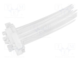 Cable tie; with label; L: 100mm; W: 2.5mm; natural; polyamide