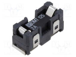 Fuse: fuse; time-lag; 2A; 125VAC; 125VDC; SMD; ceramic; OMZ 125