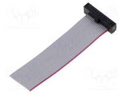 Ribbon cable with IDC connectors; Tape ph: 0.64mm; 50.8mm