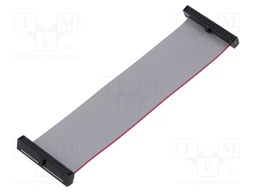 Ribbon cable with IDC connectors; Tape ph: 0.64mm; 95.25mm