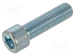 Screw; M12x45; Head: cheese head; hex key; HEX 10mm; steel; zinc