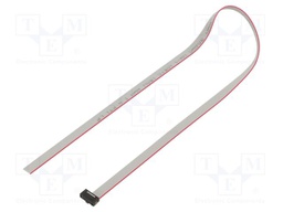 Ribbon cable with IDC connectors; Tape ph: 0.64mm; 406.4mm