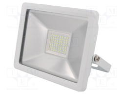 Lamp: LED flood light; 6500(typ)K; IP65; Body: white; 30W; 230VAC