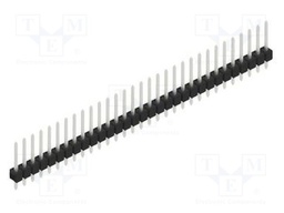 Connector: pin strips; pin header; male; PIN: 31; 2.54mm; THT; 1x31
