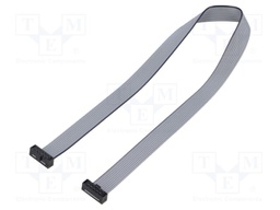 Ribbon cable with IDC connectors; IDC,both sides; Tape ph: 1mm