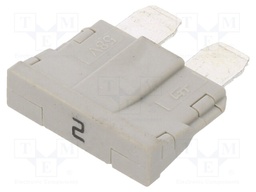 Fuse: fuse; 2A; 250VAC; 58VDC; automotive; 19mm