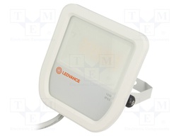 Lamp: LED flood light; 3000(typ)K; IP65; Body: white; 10W; Len: 1m