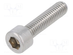 Screw; M6x25; DIN: 912; Head: cheese head; imbus; HEX 5mm
