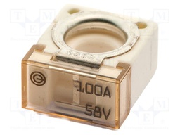 Fuse: fuse; 100A; 58VDC; ceramic,automotive; 20x23.5x11.8mm