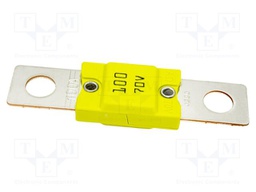Fuse: fuse; 100A; 70VDC; automotive; 68mm; M8 screw; 68x16mm