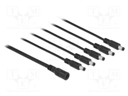 Cable; DC 5,5/2,1 plug x5,DC 5,5/2,1 socket; straight; black