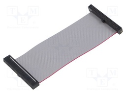 Ribbon cable with IDC connectors; Tape ph: 0.64mm; 76.2mm