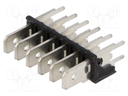 Terminal: spade terminal strip; 6.3mm; 0.8mm; THT; brass; tinned