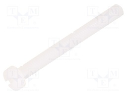 Screw; M4x40; 0.7; Head: cheese head; slotted; 1,3mm; polyamide