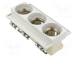 Fuse base; DIII; 63A; 500VAC; Poles: 3