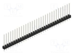 Connector: pin strips; pin header; male; PIN: 31; 2.54mm; THT; 1x31