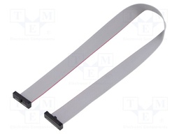 Ribbon cable with IDC connectors; Tape ph: 0.64mm; 304.8mm