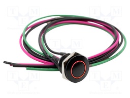 Switch: vandal resistant; Pos: 2; SPST-NO; 2A/36VDC; IP67; OFF-(ON)