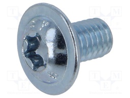 Screw; with flange; M6x10; 1; Head: button; Torx®; TX30; steel; zinc