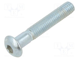 Screw; M5x30; Head: eye; hex key; HEX 3mm; steel; zinc flake coated