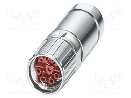Connector: M23; plug; PIN: 13; crimped; straight; IP67
