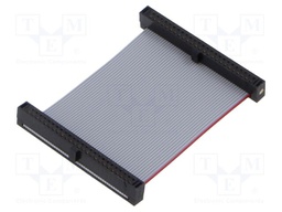 Ribbon cable with IDC connectors; Tape ph: 0.64mm; 44.45mm