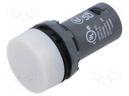 Control lamp; 22mm; white