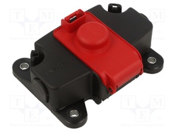 Fuse acces: fuse boxes; screw type