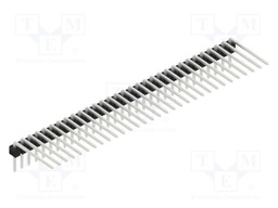 Connector: pin strips; pin header; male; PIN: 31; 2.54mm; THT; 1x31