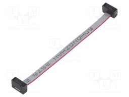 Ribbon cable with IDC connectors; Tape ph: 0.64mm; 76.2mm