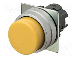 Switch: push-button; 22mm; Stabl.pos: 1; prominent; Pos: 2