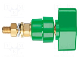 Laboratory clamp; green; 1kVDC; 100A; Contacts: brass; 81mm