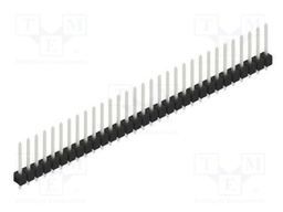 Connector: pin strips; pin header; male; PIN: 31; 2.54mm; THT; 1x31