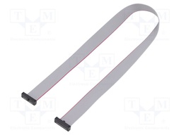 Ribbon cable with IDC connectors; Tape ph: 0.64mm; 381mm