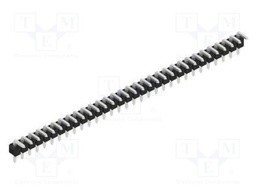 Connector: pin strips; pin header; male; PIN: 31; 2.54mm; THT; 1x31