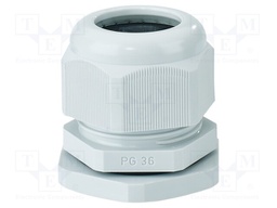 Cable gland; PG36; IP65; polyamide; light grey