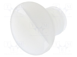 Screw; M5x7; 0.8; Head: countersunk; slotted; 1,4mm; polyamide