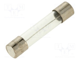Fuse: fuse; 200mA; 250VAC; glass; 6.35x31.8mm; brass; nickel plated