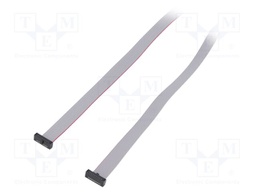 Ribbon cable with IDC connectors; Tape ph: 0.64mm; 1270mm