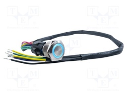 ANTI VANDAL SWITCH, DPDT, 3A/250VAC/PANL