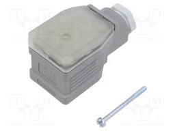 Connector: valve connector; plug