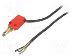 Limit switch; 10A; max.250VAC; lead 1m; IP66; No.of mount.holes: 2