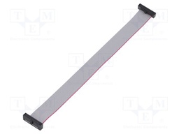 Ribbon cable with IDC connectors; Tape ph: 0.64mm; 152.4mm