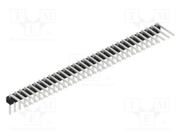 Connector: pin strips; pin header; male; PIN: 31; 2.54mm; THT; 1x31