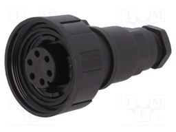 Connector: circular; plug; female; PIN: 6; Buccaneer Standard; IP68