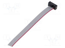 Ribbon cable with IDC connectors; Tape ph: 0.64mm; 76.2mm