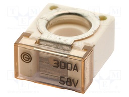 Fuse: fuse; 300A; 58VDC; ceramic,automotive; 20x23.5x11.8mm