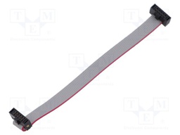 Ribbon cable with IDC connectors; Tape ph: 0.64mm; 101.6mm