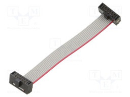 Ribbon cable with IDC connectors; Tape ph: 0.64mm; 59.94mm